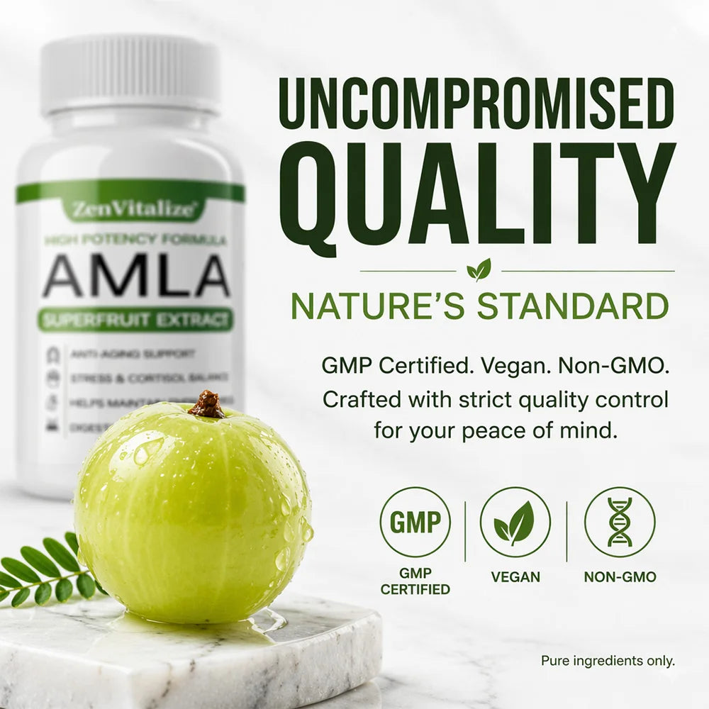 Organic Amla Capsules 1000mg, Antioxidant, Daily Immune, Rejuvenation, Digestive  & Heart Wellness Support, Vegan