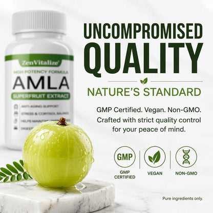 Organic Amla Capsules 1000mg, Antioxidant, Daily Immune, Rejuvenation, Digestive  & Heart Wellness Support, Vegan