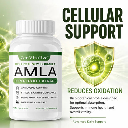 Organic Amla Capsules 1000mg, Antioxidant, Daily Immune, Rejuvenation, Digestive  & Heart Wellness Support, Vegan
